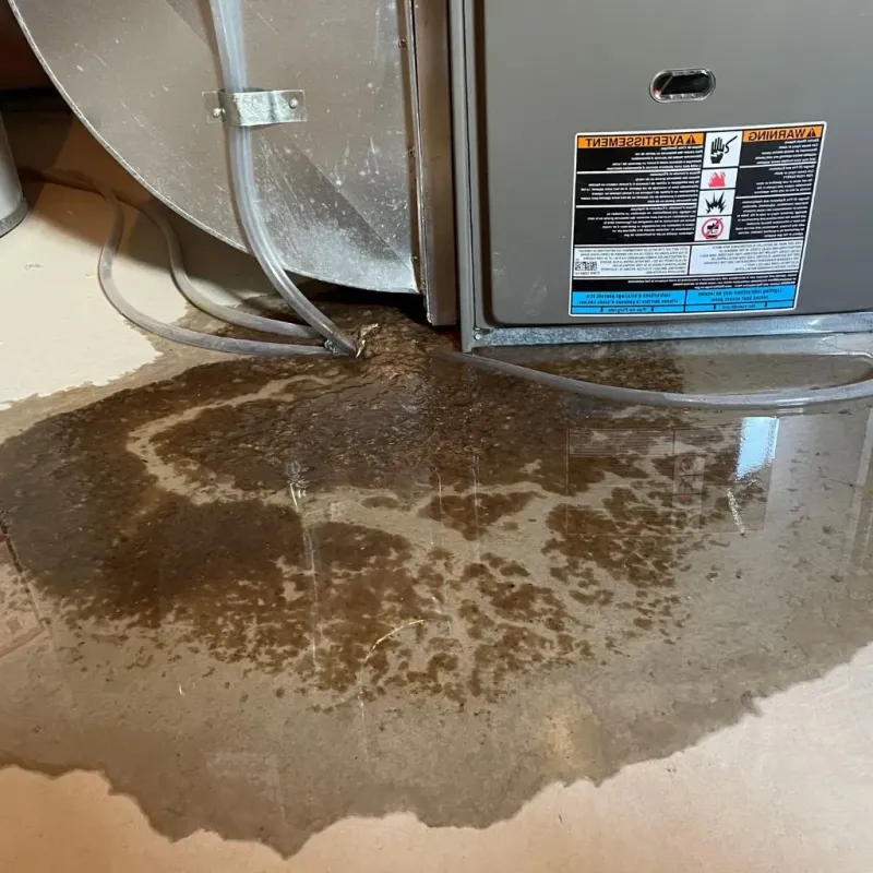 Pipe Burst and Leak Restoration in Keith County, NE
